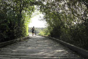 trail park